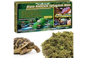 Riare Mousse de sphaigne Naturelle de qualité supérieure pour Reptiles - Mousse Verte Vivante pour Terrarium, éclosion, substrat de sphaigne forestière pour Serpents, Gecko (200g)