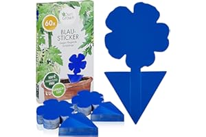 Autocollants Bleus Contre Les Thrips : 60x pièges adhésifs sans Insecticide pour Lutter Contre Les parasites des Plantes d'intérieur - Piège à Mouches OwnGrown