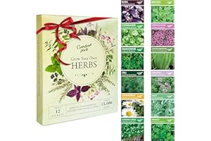 Garden Pack Herb Seeds for Planting & Outdoors, 12 Varieties, 15000 Heirloom Seeds Multipack Ready to Grow Starter Kit to Grow Aromatic Basil, Coriander, Oregano, Sage & More