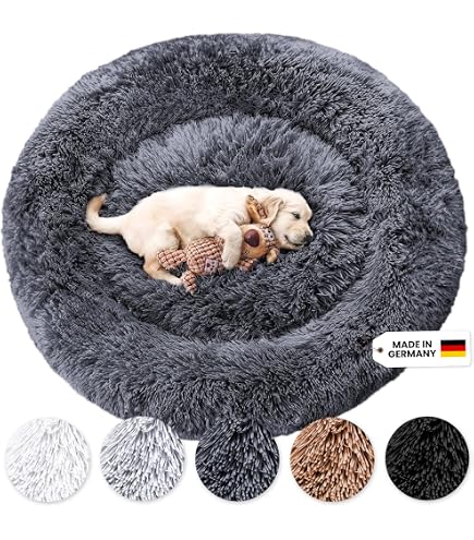 Roblue Hundebett In Jurten-Form, Faltbar, Waschbar – Für Hunde & Katzen, Größen S Bis XL, Mit Teppich