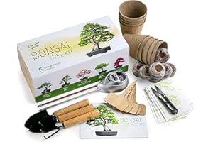 Grow Your Own Bonsai Tree Kit by Garden Pack - 5 Different Bonsai Trees to Grow - Gardening Gifts Idea w/Natural Wood Box, Gardening Accessories