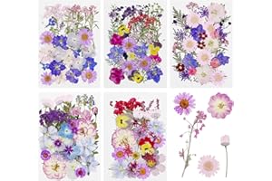 Cayway 170 szt. Naturalne prasowane kwiaty suszone tłoczone kwiaty, czarno-białe naturalne prasowane liście żywiczne, suszone kwiaty prasowane prawdziwe kwiaty do scrapbookingu, biżuteria z żywicy