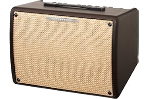 Ibanez T30II-U Troubadour amplificateur Combo pour Guitare Acoustique, 30W