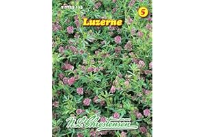 Luzerne mehrjährig N.L.Chrestensen Samen 27723113