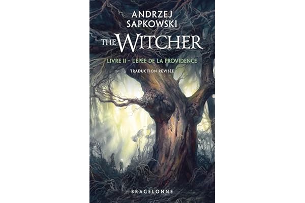 Sorceleur (Witcher), T2 : L'Épée de la providence (traduction révisée)