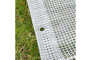 COST WISE Clear & Reinforced Tarpaulin/Ground Sheet/Fly Sheet,builders tarp,garden dry cover,winter plant cover up (4m x 5m)