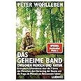 Das geheime Band zwischen Mensch und Natur: Erstaunliche Erkenntnisse über die 7 Sinne des Menschen, den Herzschlag der Bäume