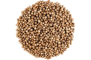 Coriander Seed Organic Gourmet Quality - Cilantro Seeds For Elevating Dishes 200g