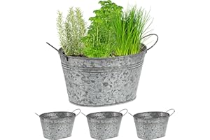 Relaxdays Pack 4 Macetas de Metal, Tiestos Flores de Exterior, Jardineras Ovaladas, 15,5x29x17,5 cm, Vintage, Plateado, Hierro