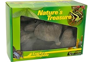 Lucky Reptile DB-01 Nature's Treasure Boîte avec Objets décoratifs fabriqués en matériaux naturels
