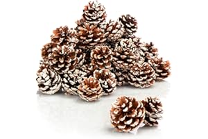 COM-FOUR® 30x Pigne decorative - pigne come decorazioni natalizie o autunnali - decorazione da cospargere - decorazioni natalizie piccole (30 pezzi - punta bianca)