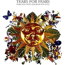 英LP Tears For Fears Tears Roll Down UKオリ 913Fq1orGaL._AC_UL210_SR210,