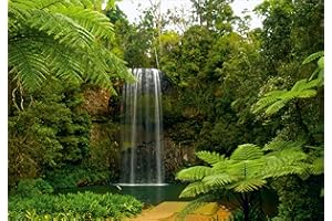 AG Design – Peinture Murale – Chute d'eau dans la Prairie – Tapisserie Photo – Poster Photo Géant – 180x127 cm – 1 lés – FTSs 0834 Papier Bleu Noir