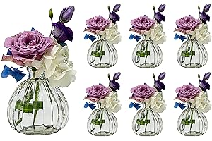 ‎CASAVETRO casavetro 6 Stück Kleine Vase Blumen Tisch-Vase Dekoration Hochzeit Party Deko Set Flasche Glas klar (6 Stück Kürbis o.k.)