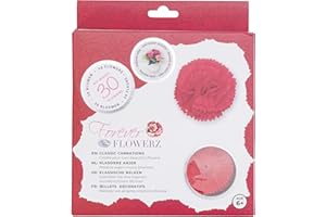FOREVER FLOWERS STC Stores/Craft Buddy Forever Flowerz Flower Making Kits (Classic Carnations - Red)
