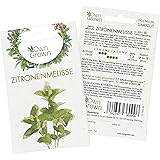 Premium Zitronenmelisse Samen (Melissa officinalis) mehrjährig, Zitronenmelisse Samen - zum Anbau im Garten und auf dem Balko
