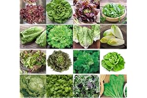 Set de graines de salades PRADEMIR – 16 variétés de salades – Graines 100% naturelles du Portugal – Variétés rares et anciennes à haut taux de germination.