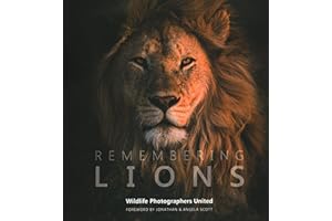 Remembering Lions (Remembering Wildlife, Band 4)
