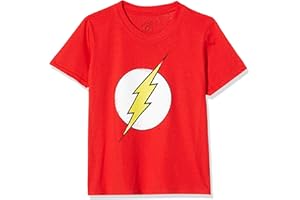 DC Comics Boy's Distressed Flash Logo T-Shirt