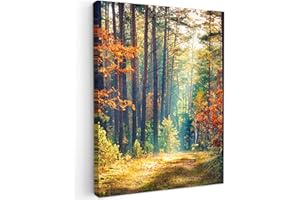 MuchoWow© Leinwand Bilder 50x70 cm Wanddeko Wohnzimmer Aesthetic Room Decor Deko Zimmer Wandbilder Modern Fotogeschenke Wald - Sonne - Natur - Herbst