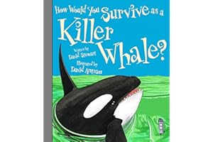 How Would You Survive As A Killer Whale?