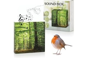 Norordstern Sound Box med naturliga ljud och fågelsång för avkoppling och lugn – musikbox med rörelsesensor och volymkontroll – 12 x 12 cm