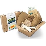 Satte Saat Essblumen Anzuchtset - Pflanzset für essbare Blüten & Blumen im Garten inkl. Töpfe, Erde, Marker, Samen und Anleit