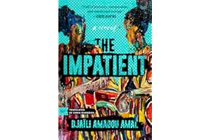 The Impatient: A Powerful Feminist Novel – African Literature About Three Women Rebelling Against Polygamy and Patriarchy