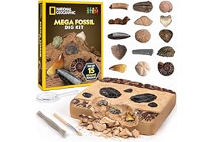 National Geographic Mega Fossil Dig Kit - Ausgrabung von 15 echten prähistorischen Fossilien, Kinder-Fossilien-Set, pädagogisches Spielzeug, großartiges