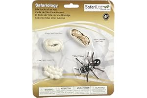 SAFARI LTD. Safari Ltd Life Cycle of an Ant, 663916, Blanc, Medio