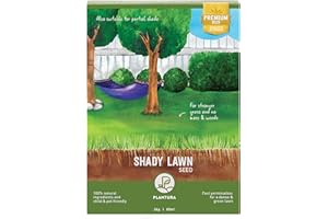 Plantura Shady Lawn Seed, Fast-Germinating Premium Lawn Seed, 80m², 2kg