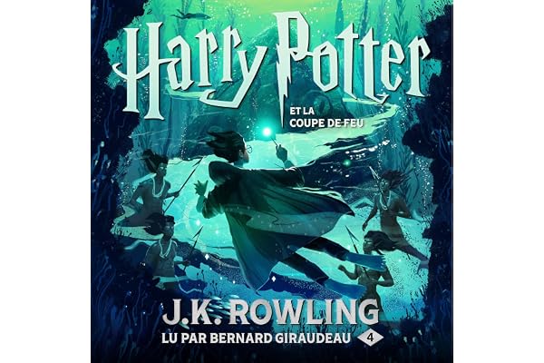 Harry Potter et la Coupe de Feu: Harry Potter 4