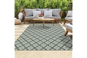 homeart Outdoor Rugs | Easy-Cleaning Indoor & Outdoor Area Rugs for Porch, Deck, Balcony, Garden, Picnic, Kitchen, Hallway | UV & Weather-Resistant Large Patio Rug Mats Green Cream, 80 x 150 cm