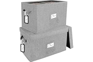 Woodoulogy Set di 2 contenitori per dischi in vinile, per LP da 7"/45 giri, custodia grigia con coperchio, può contenere fino a 160 album, porta CD con manico, organizer per CD