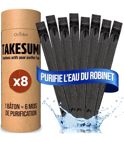 Charbon Actif Binchotan Japonais X2 - Filtre Eau Naturel 2.5L - Purificateur Pour Carafe - Authentique Kishu Wakayama