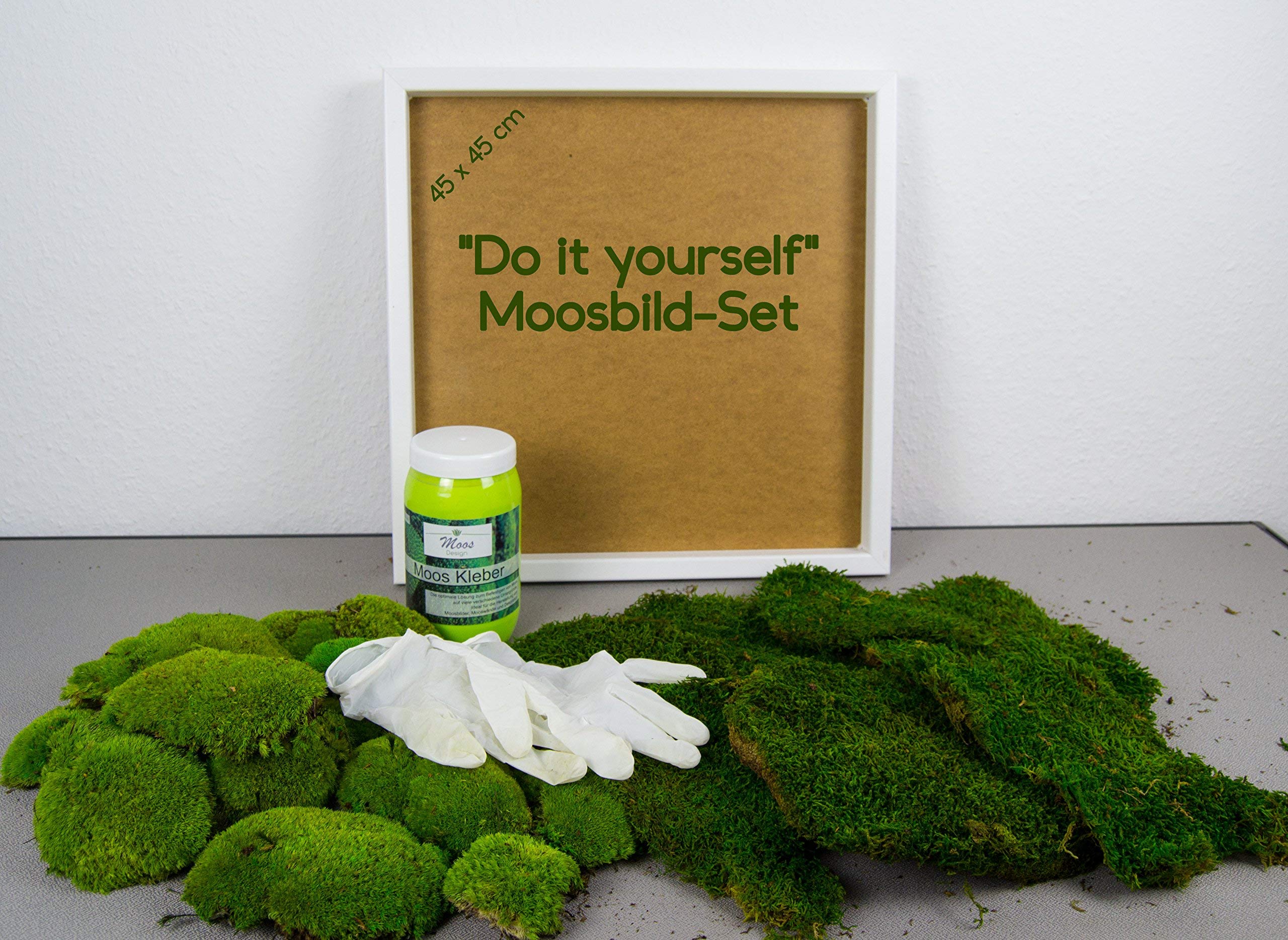 Moosbilder DIY: Entdecke die Magie des Zeichnens!