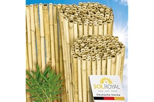 Sol Royal Hell Glänzend Premium Bambus Sichtschutz 150 hoch – Hochwertig Bambusrohre Ø2-3cm Witterungsbeständig – Bambuszaun Gartensichtschutz Balkon Sichtschutz Bambus Sichtschutzzaun 150x250cm – B99