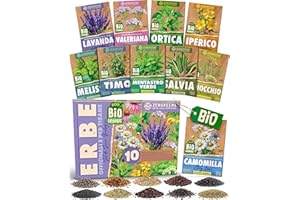 ZenGreens® - Set di Semi di Erbe Officinali e per Tisane bio (10 pezzi) - 10 Semi per Coltivazione Facile in Giardino, Balcone o Serra - Semi da Piantare - Sementi