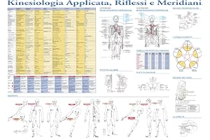 CASTELLO EDITORE POSTER DI KINESIOLOGIA APPLICATA, a colori. Elenco dei muscoli, dei punti riflessi neurolinfatici, dei punti neuromuscolari e dei meridiani. Per studio professionale, ufficio, casa. Grande 84.3 x59 cm