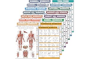PALACE LEARNING 16 Pack - Exercise Workout Poster Set: Dumbbell, Suspension, Kettlebell, Bands, Medicine Ball, Battle Rope, Stretching, Bodyweight, Barbell, Yoga, Exercise Ball (PAPER - NOT LAMINATED, 18" x 24")