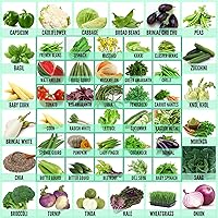 Leafy Tales 50 Varieties of Vegetable, Fruits & Herbs Seeds for Kitchen Garden - 2500+ Seeds | Easy to Grow