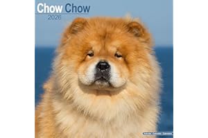 Chow Chow Calendar 2026 Square Dog Breed Wall Calendar - 16 Month