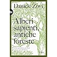 Alberi sapienti, antiche foreste. Come guardare, ascoltare e avere cura del bosco