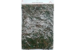 GESAR ART IN PROGRESS Gesar Feuille de papier avec mousse naturelle - Tapis rugueux vert - Mousse de haute qualité - Tapis de mousse 70 x 50 cm