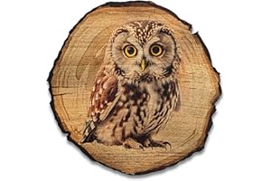 DRO Design Uhu - Größe 30cm - Rustikales Wandbild im Vintage Look – Holzoptik Wanddeko mit Motiv für Wohnzimmer und Flur – Geschenkidee für Tierliebhaber, Wandgemälde