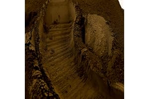 iBéton by Cyril Claire Terre d'Ombre Naturelle 1 Kg - Pigment naturel ou Terre colorante pour peintures, enduits béton et chaux - Origine Europe