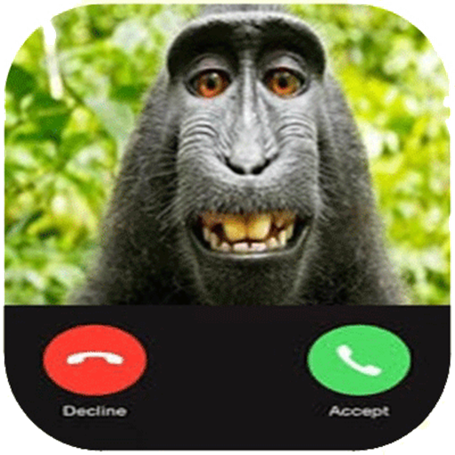Monkey Call Prank Amazon De Apps Spiele
