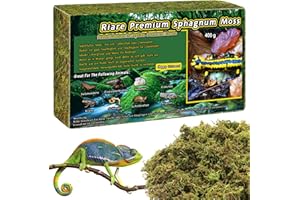 Riare Premium Natürliches Moos Getrocknet für Pflanzen Reptilien Moos Inkubationen, Wald Torch Reptilien Matrix für Schlangen, Geckos, Schildkröten, Frösche (400g)