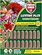 PROTECT GARDEN Lizetan Plus Combistäbchen Schädlingsfrei gegen Blattläuse und andere saugende Schädlinge und Premium-Dünger in Einem, 20 Stück
