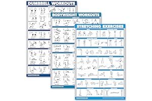 Palace Learning QuickFit 3 Pack - Dumbbell Workouts + Bodyweight Exercises + Stretching Routine Poster Set - Set of 3 Workout Charts (Laminated, 18" x 24")